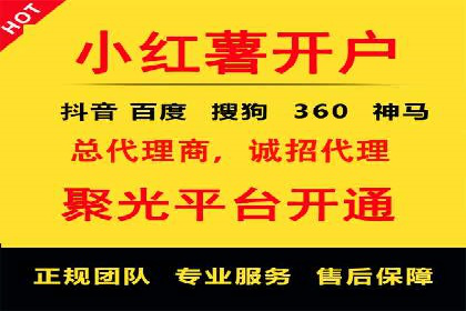 信息流代理案例分享：助力企业增长之道